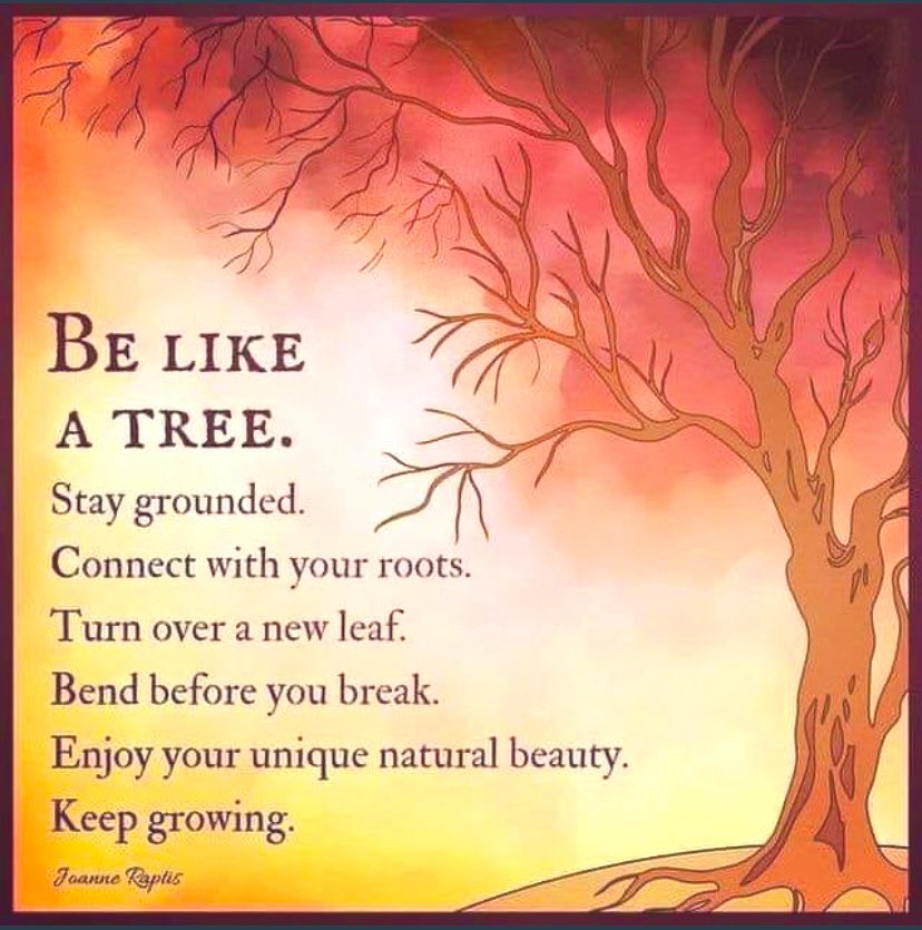 burylifesavers's tweet photo. I’m not in today (a mum &amp; son day as it’s the last day of half term😭), but I couldn’t miss the #BLSBooster 🙏🏼💛 To try &amp; keep on the good side of  #StormEunice (!), I’m going with a nature based quote 😆🌳🍂 #belikeatree #StayGrounded #connection #roots #Growth #beauty #recovery https://t.co/E3S6gpHIFK