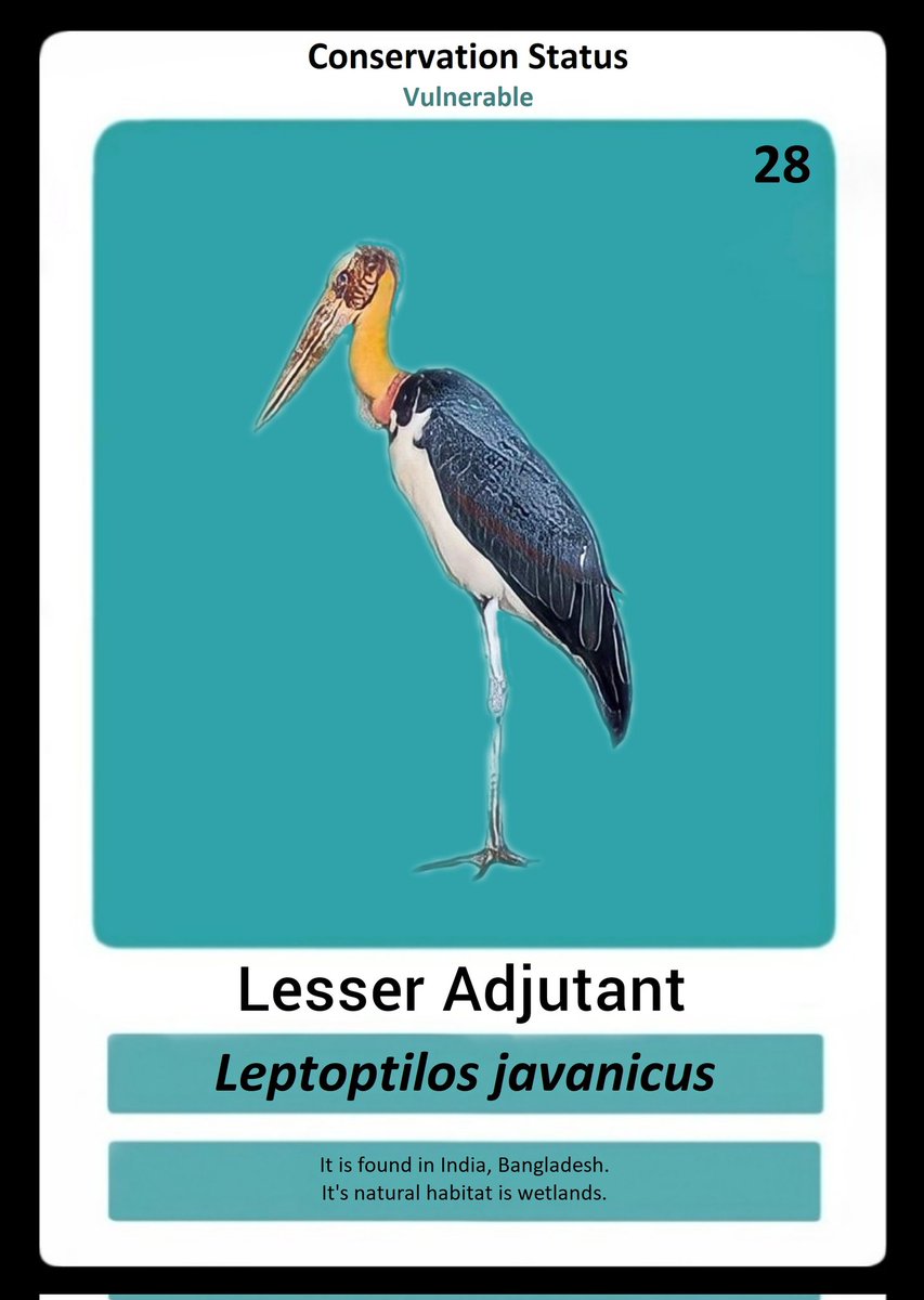 Ayomeeday12's tweet photo. Buy NFT for 1 Algo and get a chance to enter the Game:
Lesser Adjutant - https://t.co/euym0DrIWJ

@Kaafila2020 @KaafilaNFT_ https://t.co/LJXIyAA7Cw