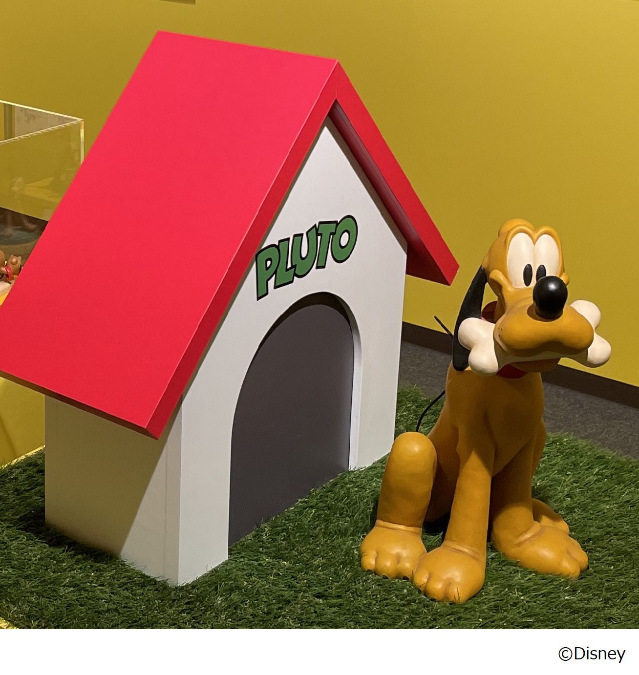 公式 Disney Cats Dogs展 1930年2月18日は冥王星 Pluto が発見された日 ミッキーの愛犬プルートの 名前はこの星の名前が由来だそうです 福岡三越 ディズニー キャッツ ドッグス展では かわいくて面白いプルートがいっぱい見られます 前売券は