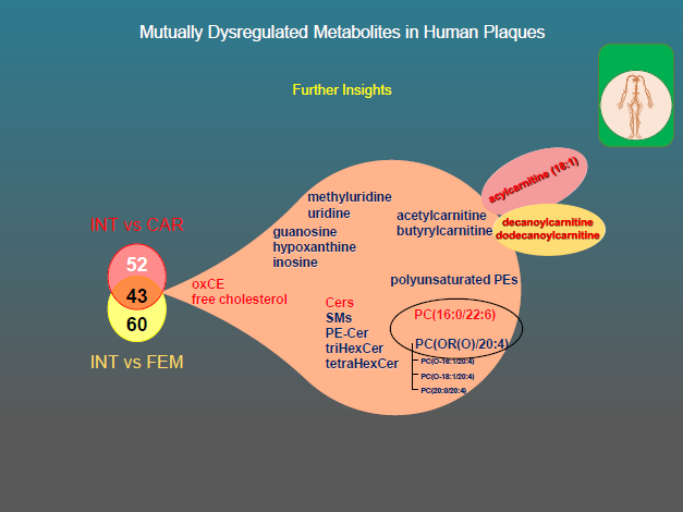 GrowthITN's tweet photo. Also this semester, we are enjoying the expert lectures on metabolomics and their (biomedical) application. We were lucky to receive a recent lecture from dr Vorkas about carotid artery plaque metabolomics associated with cerebrovascular accidents. @DrPanosVorkas https://t.co/w7m3C1raw1