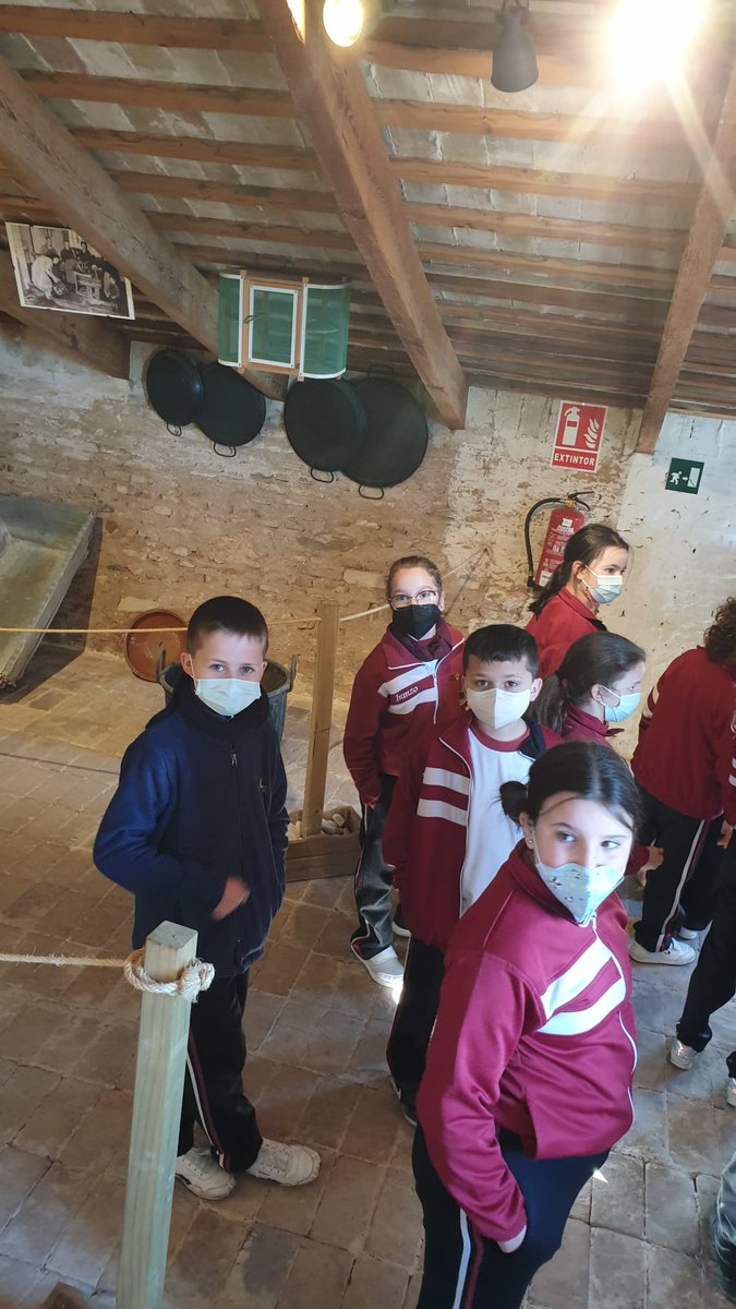 cole_sagrada's tweet photo. Visita a “Planta i cull” (Alboraia). Hem gaudit d'un dia de camp i hem après el procés de cultiu d'alguns productes i ens han ensenyat el treball amb la xufa. Culminem la nostra UI “Ta casa, neta” i ens servirà de molta ajuda per al nostre projecte 🍅🥕d’hort escolar. #somsagrada https://t.co/pCyVItOVKv