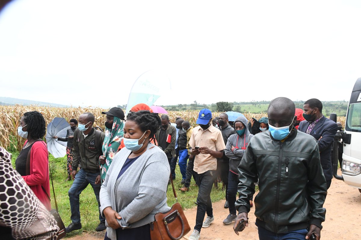 NyagatareDistr's tweet photo. Abacuruzi b'inyongeramusaruro n'abakozi bashinzwe ubuhinzi bo mu turere twa @NyagatareDistr na @GatsiboDistrict bari mu rugendo shuri mu karere aho bari kwerekwa imbuto y'ibigori ituburirwa mu #Rwanda ya #RHM1407 n'uko ituburwa igatanga umusaruro kugeza kuri toni 8 kuri hegitari. https://t.co/v6efzZUWwk