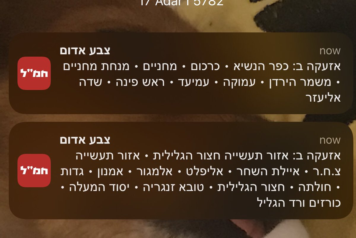 onlyxangellll's tweet photo. הלו הלו הלו הלו הלו רגע https://t.co/JhuPOVkwAF