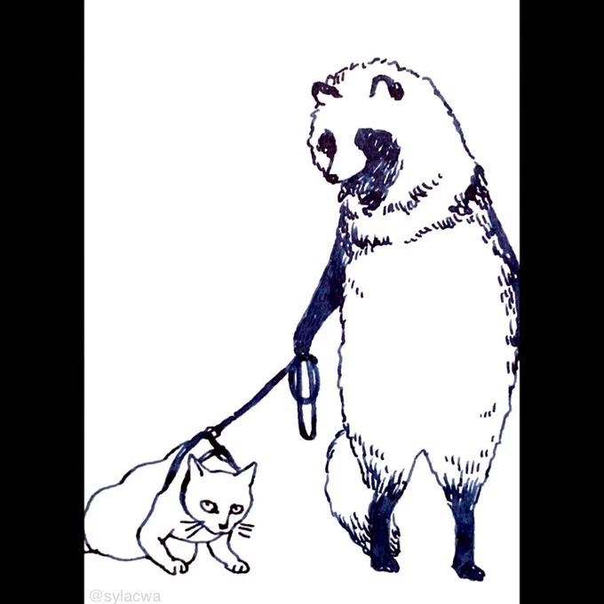 たぬねこ散歩 / Raccoon Dog and Cat Walking  #ペン画 #絵 #猫 #狸 #タヌキ #inkdrawing #pendrawing #みんなで楽しむTwitter展覧会 *3/19,20 猫画個展@神保町*