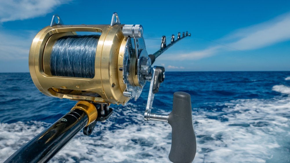 ChartersCoastal's tweet photo. NEW CHARTER!!!

3 Hour Inshore Fishing Charter - Fish the grass flats of the Intracoastal waterways in and around the Pensacola Bay. Main targeted species will be Redfish, Flounder, Sheepshead, Trout, Spanish Mackerel &amp; Snapper.  

#navarrebeach #charterfishing #navarrefishin https://t.co/LqQXSVVZ6s