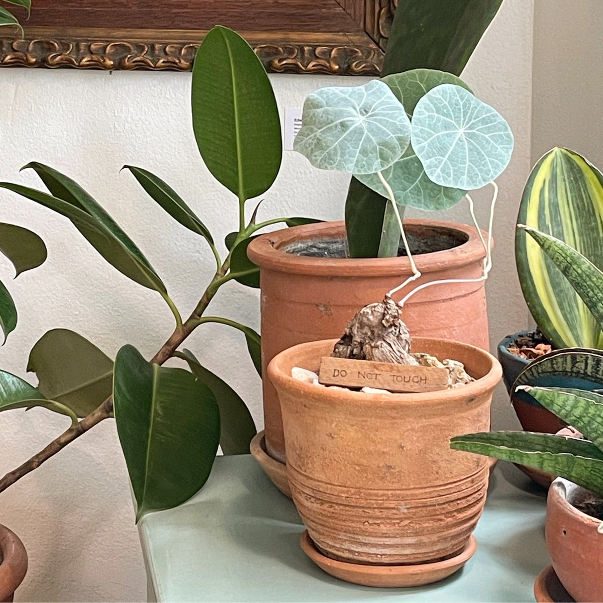 vacation, 🏄🏻‍♀️🍦🥯🪧