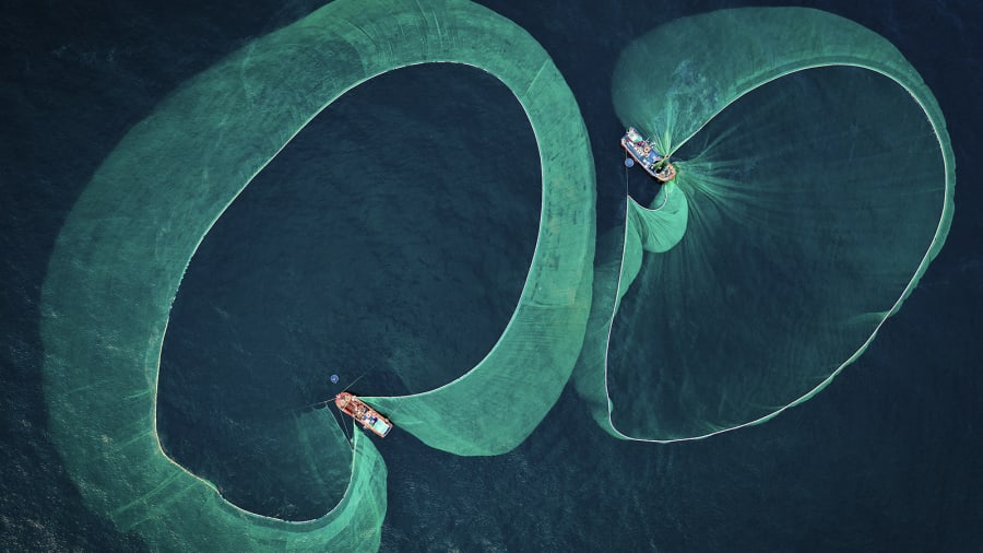 CNN's tweet photo. Images from the Underwater Photographer of the Year competition show the beauty and fragility of the world's seas and oceans: https://t.co/vxQVS45G3l https://t.co/qJvxrz6JR2