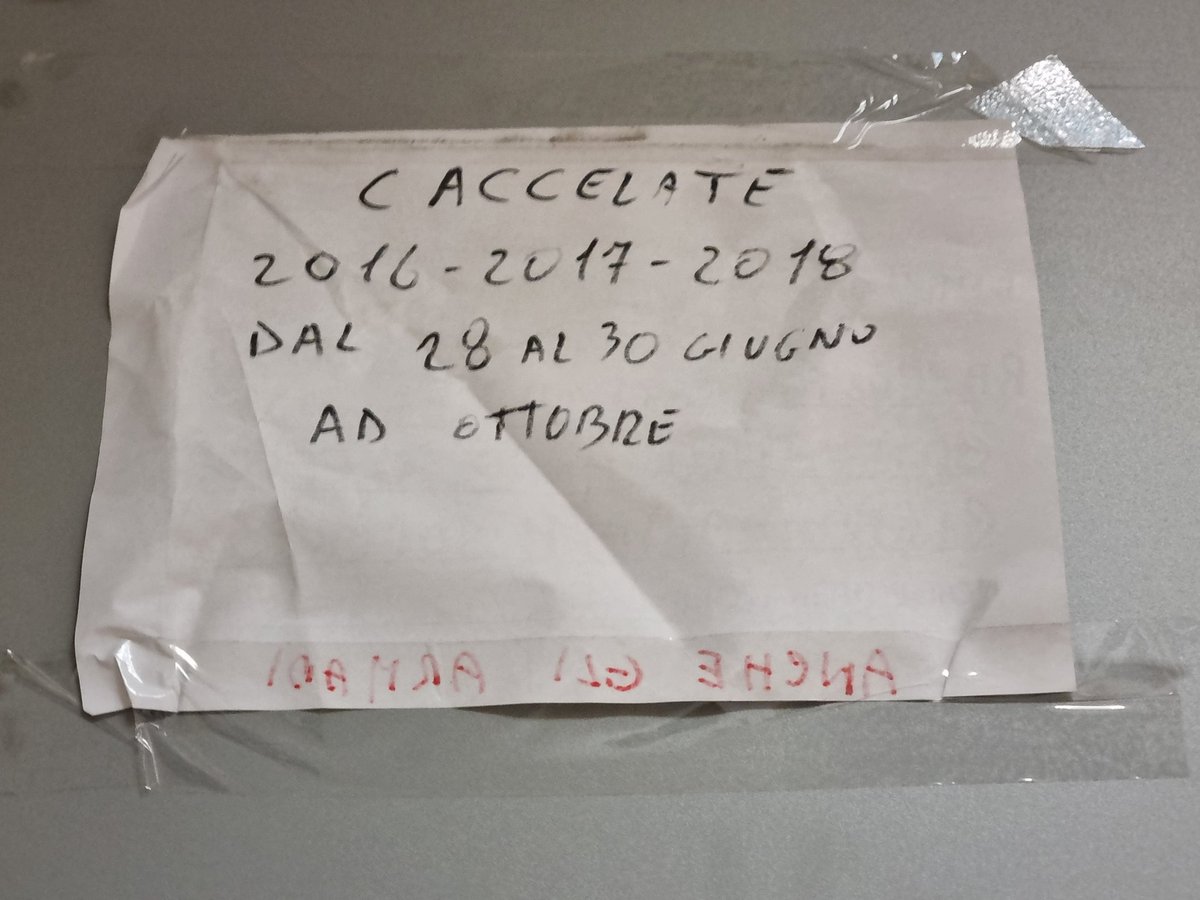 ambrosiocodici's tweet photo. Ma la "i" senza accento impallidisce di fronte alle cause "CACCELATE".
Vabbè,  è evidente cazzeggio da fila.
#vitadaavvocati #avvocati @avvocatisenza24 @giuliaselvaggi2 https://t.co/0xN4bSWHNq