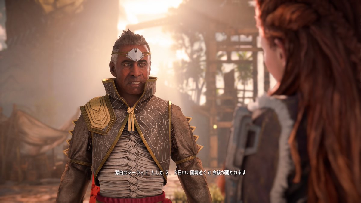 ゼロドーンにも登場した、タクティクスオウガに出てきそうな名前の人 #HorizonForbiddenWest #PS4share