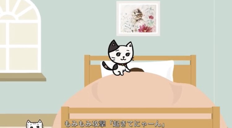 牛乳カップル ねこ動画完成 Milkcouple321 Twitter