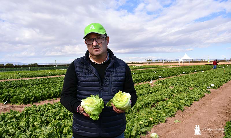 jaarcossanchez's tweet photo. 🆕Rijk Zwaan alarga la vida útil de la iceberg con el gen Knox
📝https://t.co/tYl6EMpJvv
Esta innovadora genética empezó para alargar la vida de #lechuga cortada en IV gama retrasando su oxidación; y ahora también en lechuga no procesada de piezas enteras🥬
#WinterOpenFieldDays https://t.co/zqgp3TdfWk