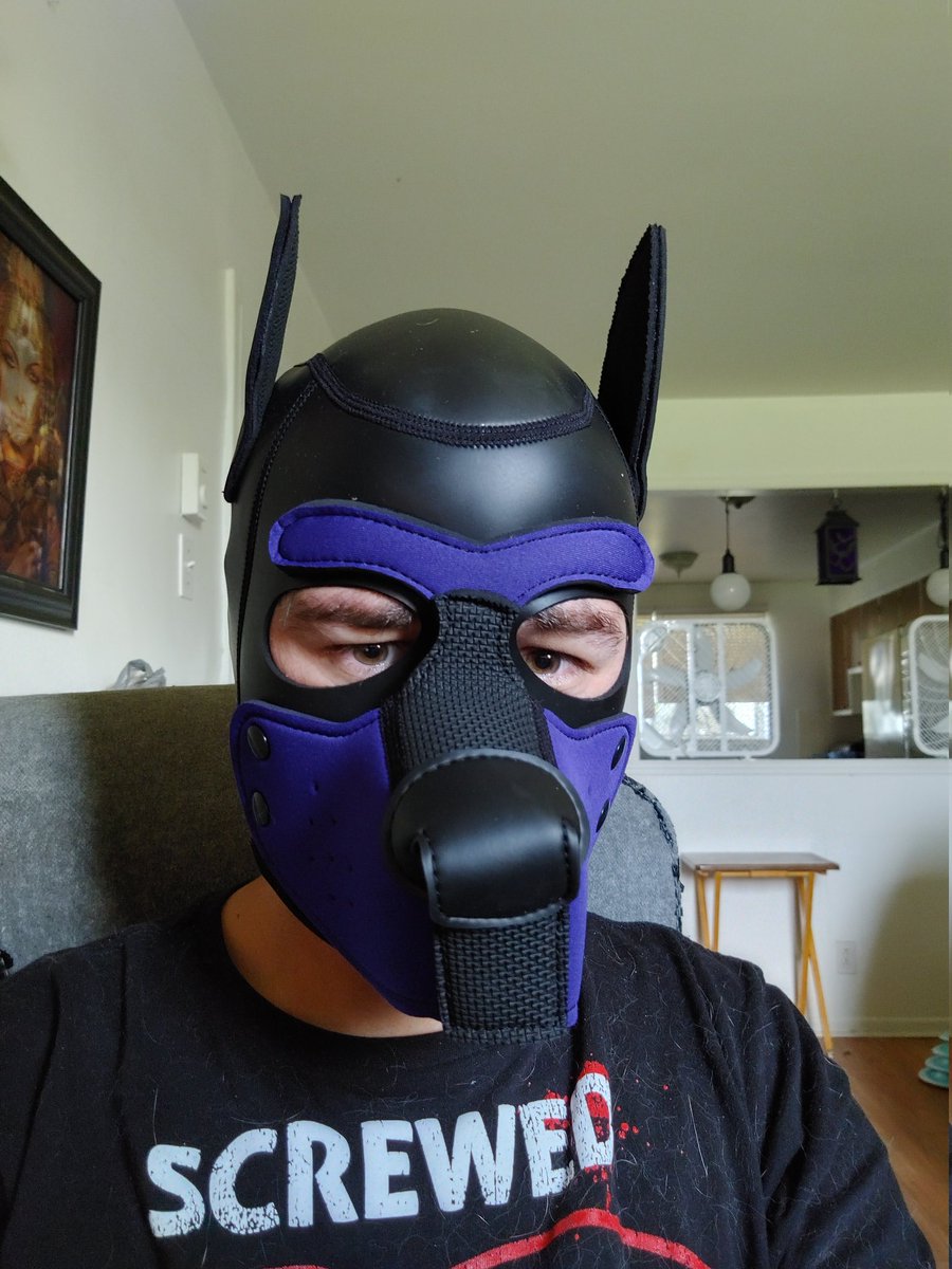 Albedo🇨🇦🏳️‍⚧️ tweet media