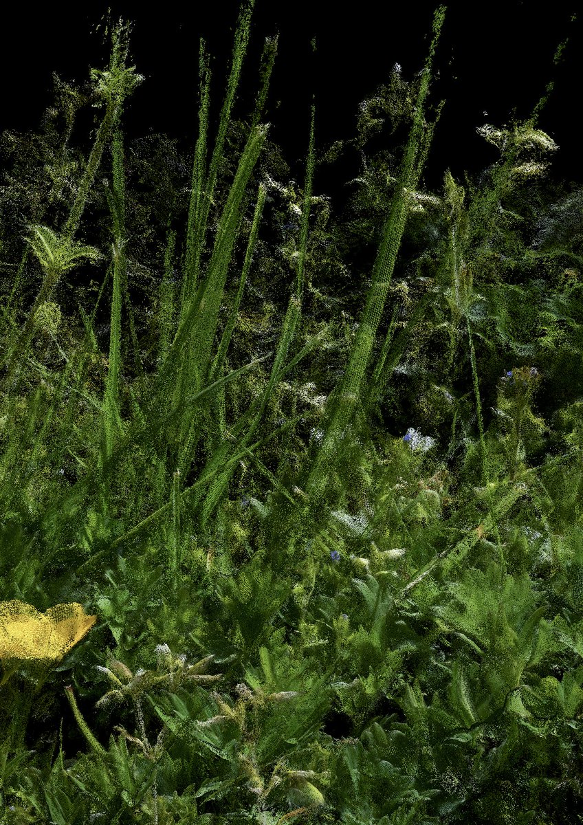 Some of today's additions to the overgrowth.garden