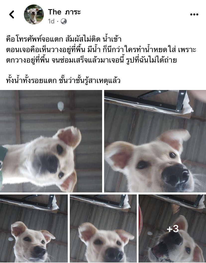 ฮืออ อันนี้ตลกอะเจอโทรศัพท์จอแตก แถมน้ำเข้าอีก ไม่รู้ใครทำ พอซ่อมเสร็จมาเจอรูปนี้ หลักฐานชัดเลย  น้ำลายหยดติ๋งๆ
555555555555555555555555555555555555555555555555555555