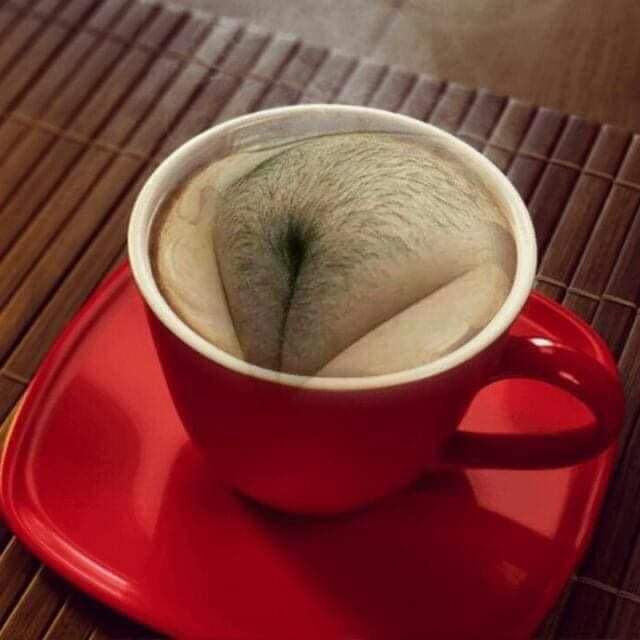 Ahmed. (@hamada23764435) on Twitter photo 