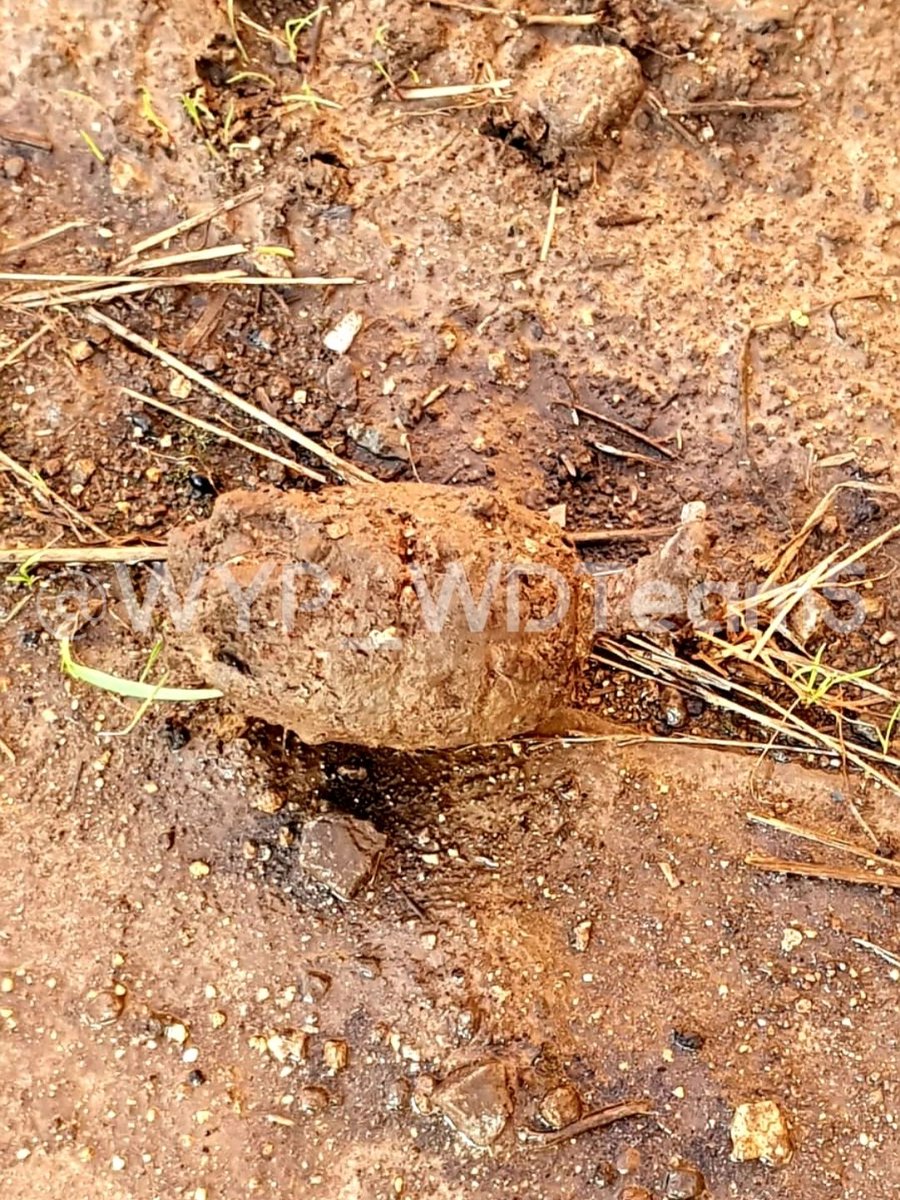 WYP_WDTeam5's tweet photo. #WT101 &amp; #WT103 attended reports of what was suspected to be WW2 grenade found on a building site in #Pontefract. @11_EOD_Regiment attended from #Catterick to safely detonate it ina  nearby field. @WYFRS &amp; @YorksAmbulance were also in attendance.

@WakefieldPolice 
@WYP_WakefldNE https://t.co/8kNiwuICih