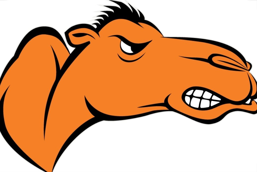 NCAAFNation247's tweet photo. The Campbell Camels AVG Recruit Ranking of 84.49 in the 2022 Class was better than 65 #FBS Teams 

A few Notables

• Washington State
• Kansas
• BYU
• Boise State
• Memphis
• SDSU
• CCU
• App St
• UTSA
• USF
• Liberty
• La Tech
• Temple
• Charlotte
• UAB
• Toledo https://t.co/2MvQxov4dv