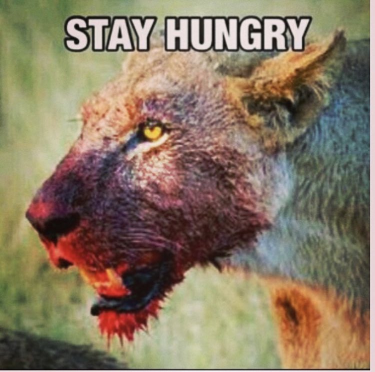 Kountze_BBall's tweet photo. It’s    G A M E D A Y   🏀🏀🔥🏀🏀. 
#TimeToEat #LionPride #JobsNotDone https://t.co/LHNN9zGgtN