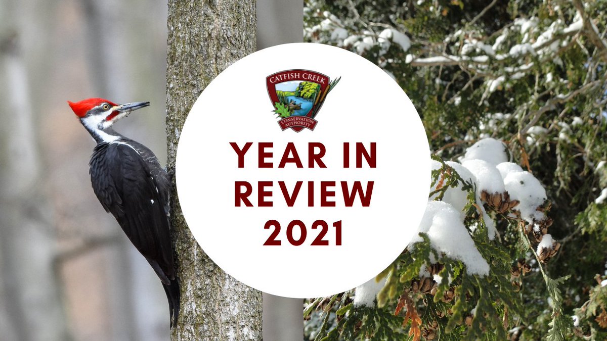 Yesterday new CCCA Chairperson Lori Baldwin Sands, councilor from the City of St. Thomas, introduced the 2021 year in review. You can watch it on our YouTube page if you missed it!
Watch Here: youtu.be/GYkKBCpMq8M