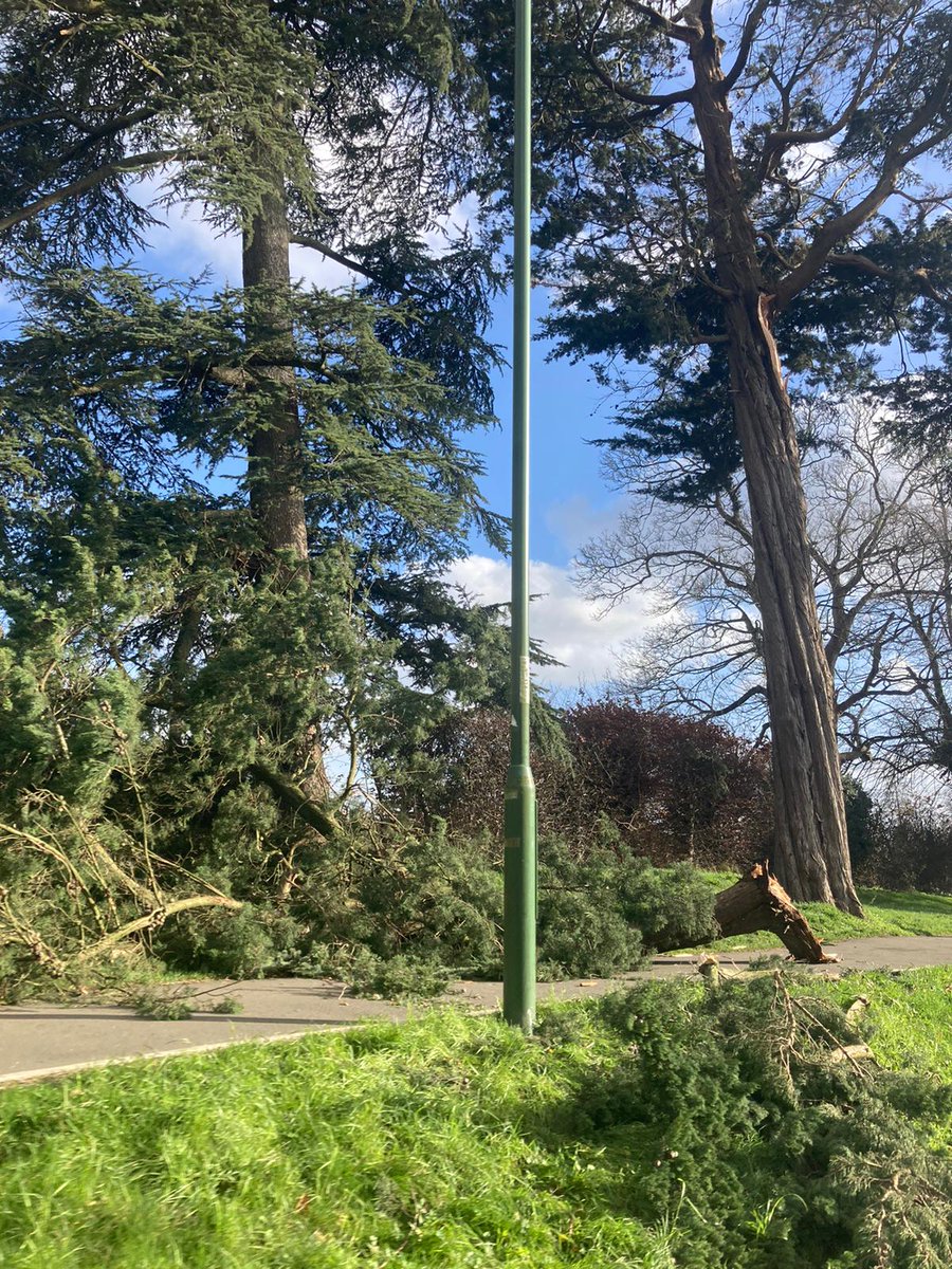 SIMON TOFT (@simontoft1) on Twitter photo Trees down in #Chichester today #Eunice <a href="/stevebone1/">Steve Bone</a> <a href="/Sussex_World/">SussexWorld</a> <a href="/Chiobserver/">Chichester Observer</a> <a href="/KellyBrownMTW/">Kelly Brown</a> Trees down in #Chichester today #Eunice <a href="/stevebone1/">Steve Bone</a> <a href="/Sussex_World/">SussexWorld</a> <a href="/Chiobserver/">Chichester Observer</a> <a href="/KellyBrownMTW/">Kelly Brown</a>