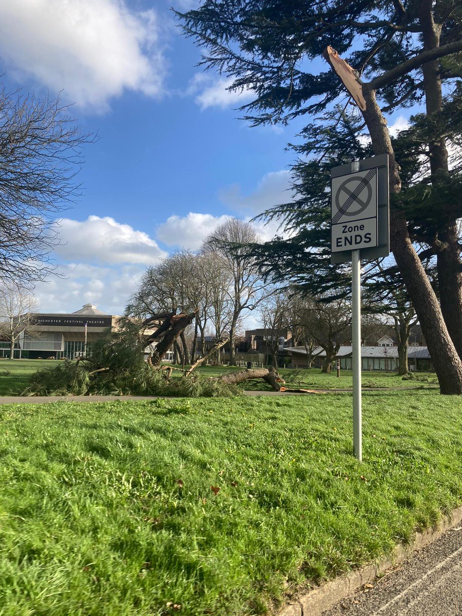 SIMON TOFT tweet media