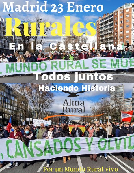 👉ANTE EL INICIO DEL TRÁMITE DE LA LEY DE BIENESTAR ANIMAL, que afecta a todos los sectores, Alma Rural espera una mayor sensibilidad con la realidad rural de TODOS los  implicados en su gestión. 
Ahora se continuará con la segunda parte del trabajo.
AL QUE MADRUGA, DIOS LE AYUDA