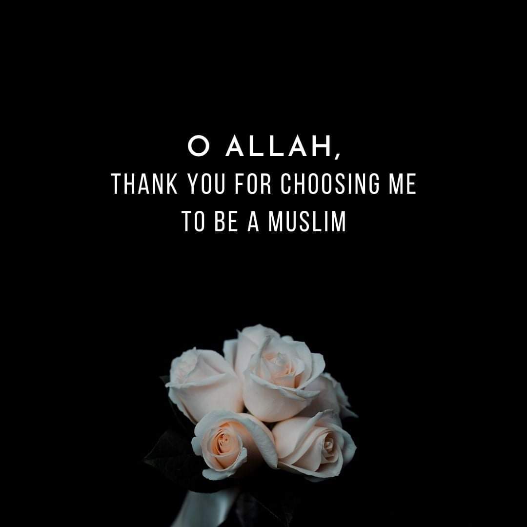 Alhamdulillah for everything.