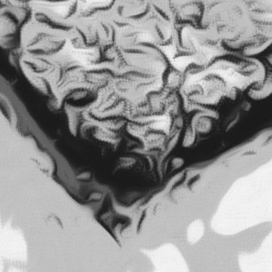 Delano Brown tweet media