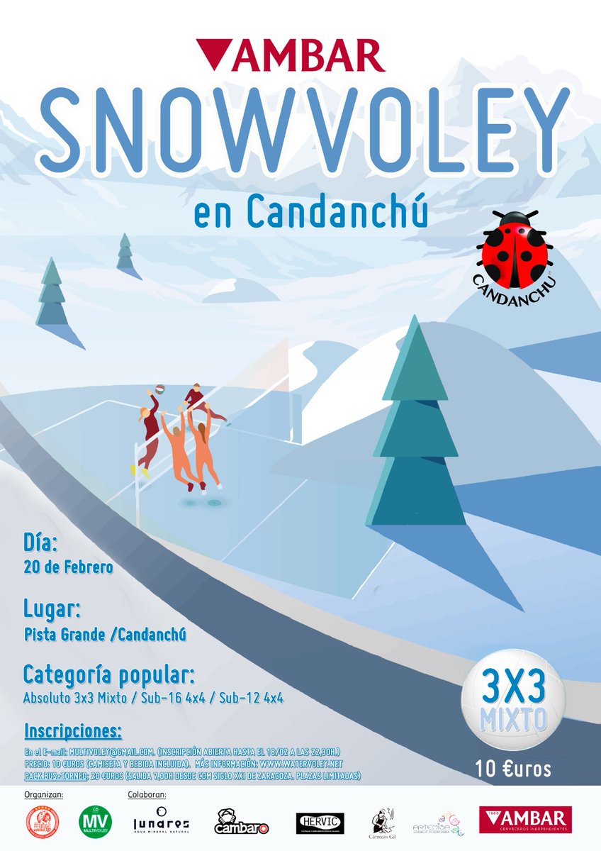 SnowVoley tweet media