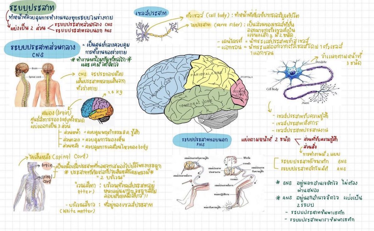 ขายของค่าา tweet media