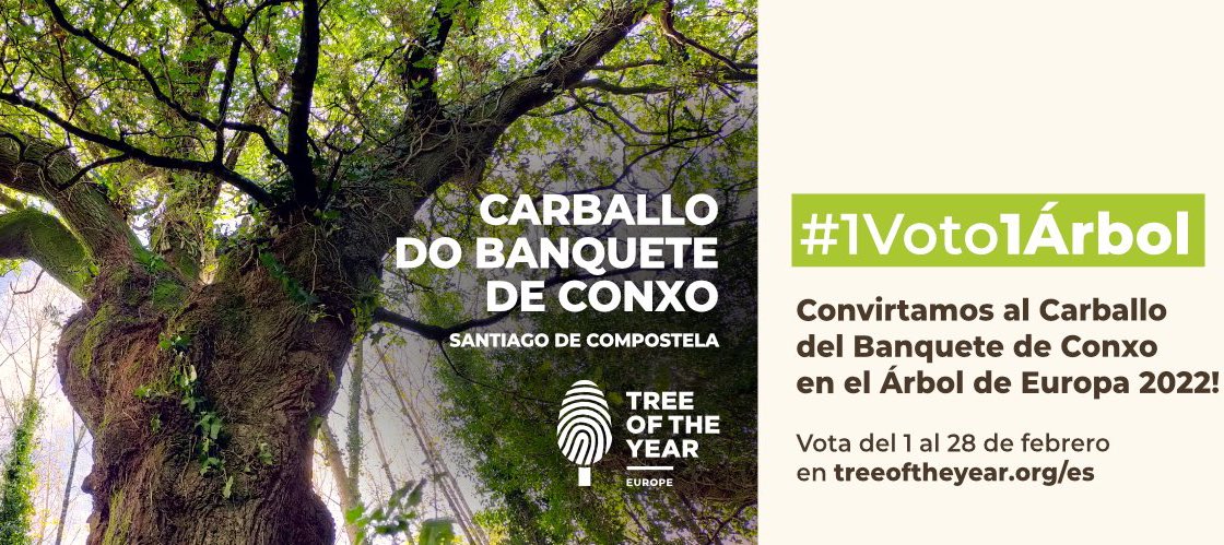 Galicia Mola :) (@galicia_mola) on Twitter photo ⚠️ O Carballo do Bosque do Banquete de Conxo necesita un pequeno empuxón para superar ao Carballo Dunin polaco e sexa “Árbore Europea do Ano 2022”
Votade aquí:
👇👇👇👇👇
treeoftheyear.org/vote/
👆👆👆👆👆
🔴 RT para que vote máis xente
#VotaCarballo #Galicia <a href="/MandaCarballo/">Carballo Banquete de Conxo</a> ⚠️ O Carballo do Bosque do Banquete de Conxo necesita un pequeno empuxón para superar ao Carballo Dunin polaco e sexa “Árbore Europea do Ano 2022”
Votade aquí:
👇👇👇👇👇
treeoftheyear.org/vote/
👆👆👆👆👆
🔴 RT para que vote máis xente
#VotaCarballo #Galicia <a href="/MandaCarballo/">Carballo Banquete de Conxo</a>