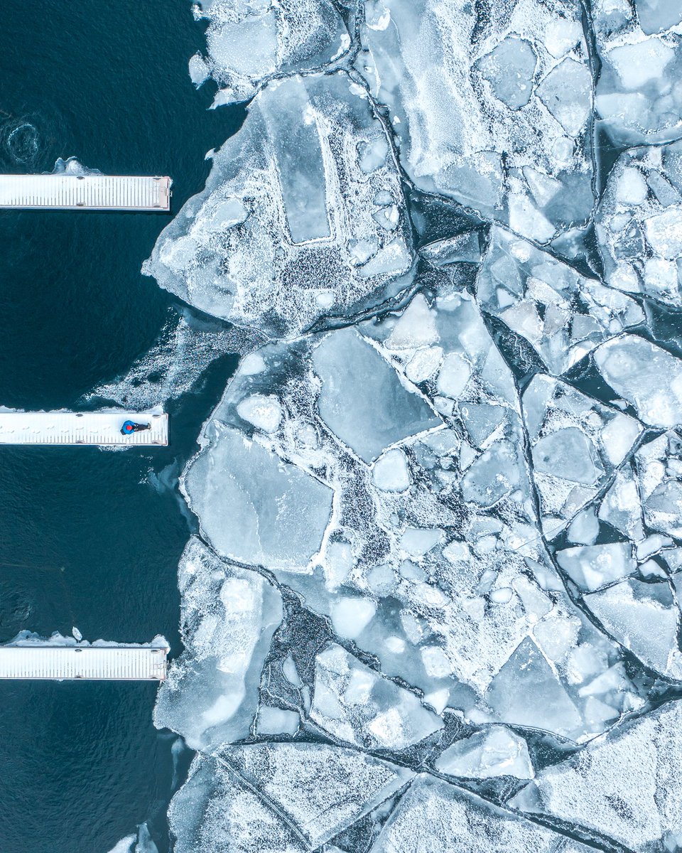 OGEE VISUALS tweet media