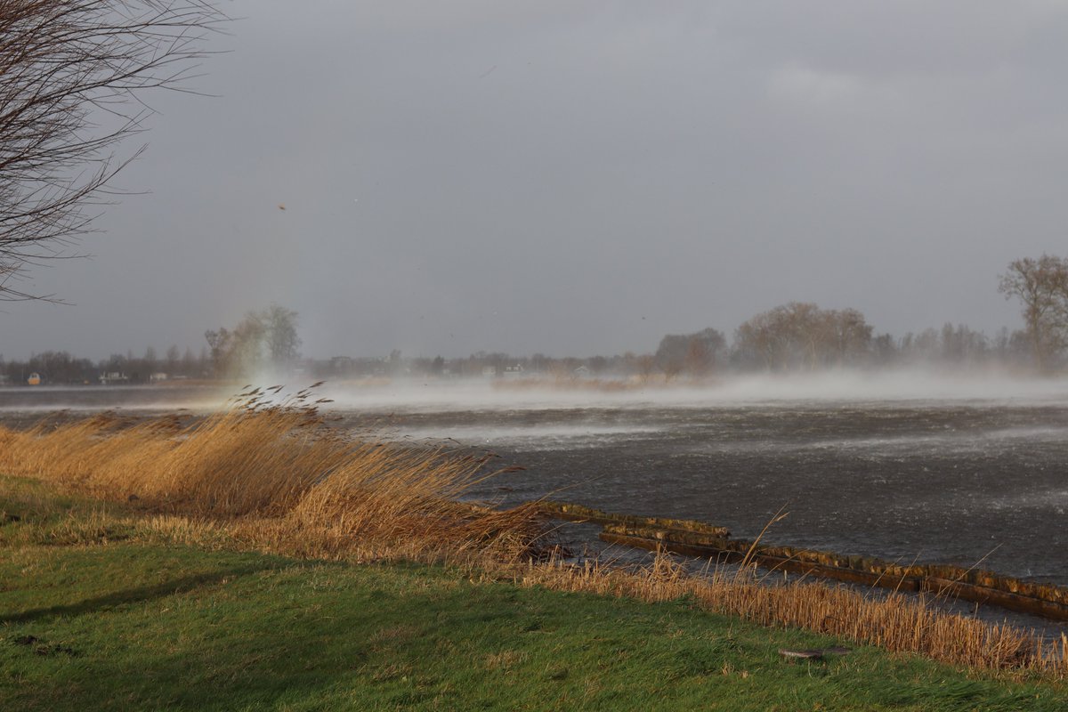 FloorSilvan's tweet photo. Bij de Elfhoeven waait het ook #windkracht oehoe. @MeteoGouda https://t.co/QvAumc4Hfg
