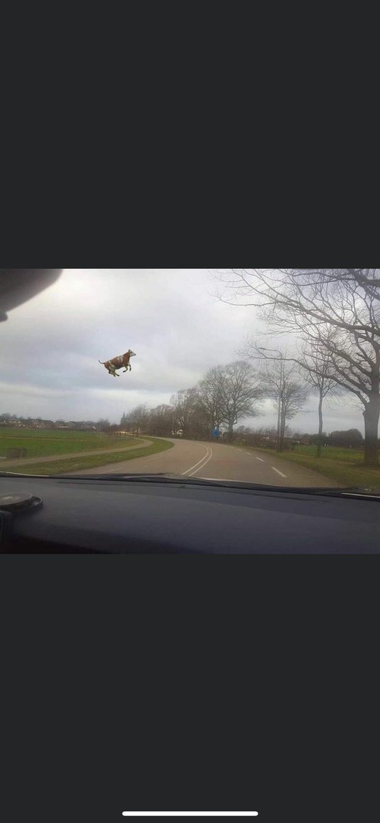 jacenmac's tweet image. Begint hier nu aan te trekken..., #Eunice