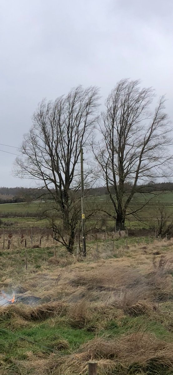 henrymorley's tweet photo. @ssencommunity Power lines sparking, now down - SN8 3JW. Causing small fires in the field below https://t.co/THW1EkvQ4n