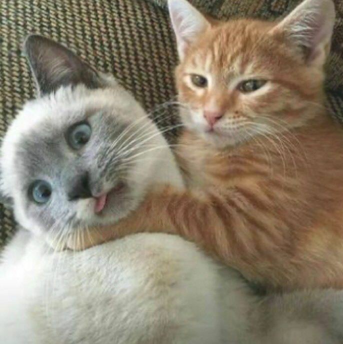 aniversário da ju hoje!!! feliz aniversário meu amor espero que vc aproveite muito seu dia, te amo muito <3 ainda aguardando meu pedaço de bolo. <a href="/zoepoetry/">jules</a>