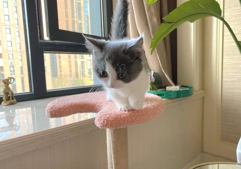 Noble and mysterious, cute but guilty, occasionally stretches symbolically, and occasionally makes low noises, like a healing girl. #girl #fashion #instalike #followme #family #selfie #redwinehair #redwineday #redwinegel #redwineglass #redwinesauce