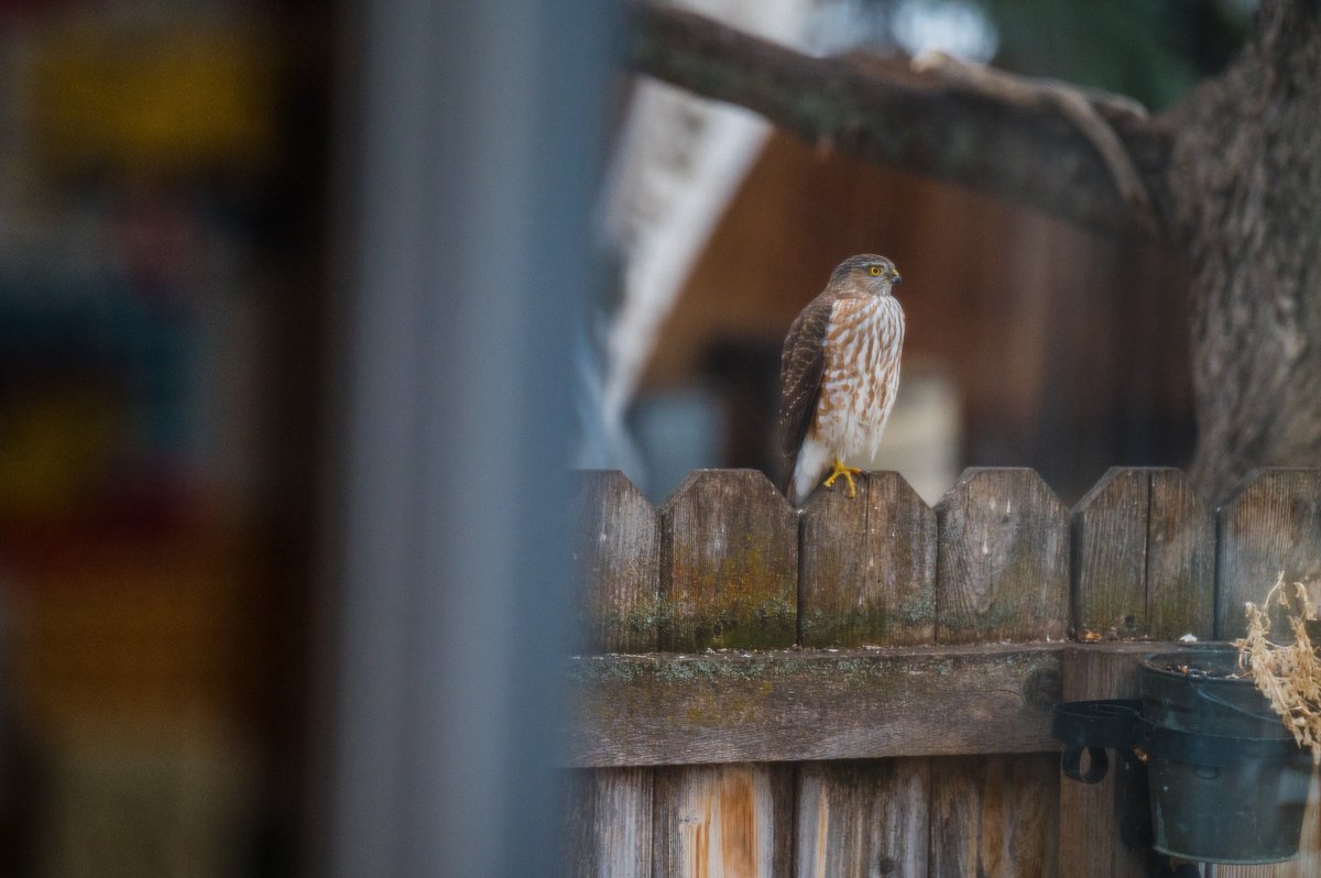 Upper Missouri Watershed Alliance tweet media