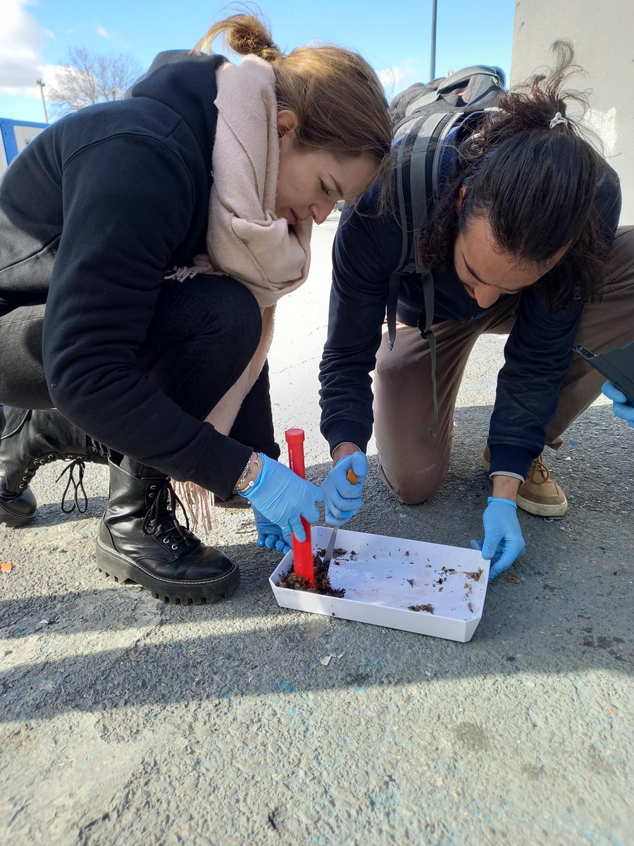 CPIE_Thau's tweet photo. ALIEN OCCITANIE : nous avons testé hier le protocole de collecte des organismes vivants fixés sous les coques des navires. Les échantillons seront analysés par le @CNRS, via des méthodes d'analyse ADN, pour identifier les #espèces non #indigènes (#ENI). @LPO_Herault @LeSeaquarium https://t.co/kZfsHdmyJ8