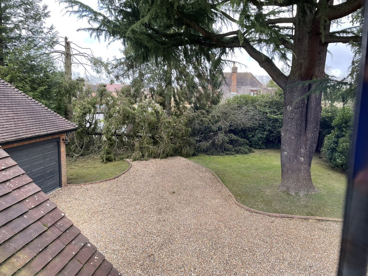 Foodtalk tweet media