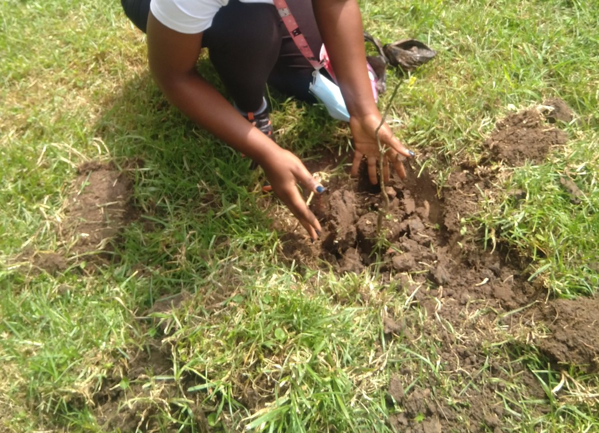 KawempeP's tweet photo. It should be a priority to take care of earth 🌎🌎 @MYPLANET44  @busulwapaul3 @SyliviaKitty Plant a 🌴 tree https://t.co/1AZxjr6ldn