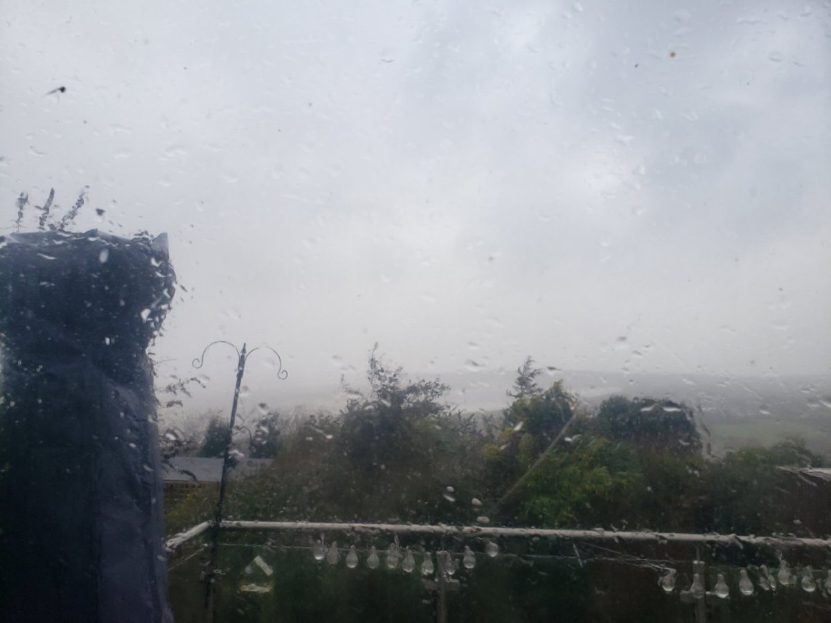 DrAnomaly1970's tweet photo. @PanPeterS5 @eddiedavis2707 I think that's my Garden lol, two trees down already, good job i kept my chainsaws - no bother firewood taken care of for next couple of years. #manup #itsonlywind https://t.co/sZG1lSpNpZ