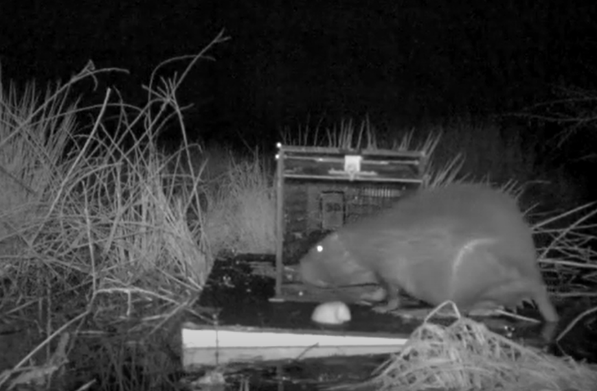 Life MICA tweet media