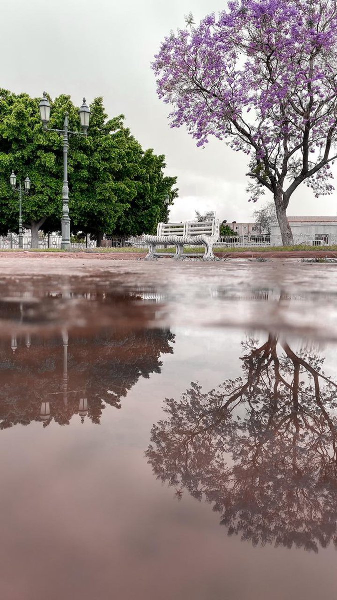 أمران يرفعان شأن المؤمن : “التواضع وقضاء حوائج الناس”
وأمران يدفعان البلاء : “الصدقه وصلة الأرحام *صلوا على الحبيب*
                ﴿ םבםב ﷺ ﴾