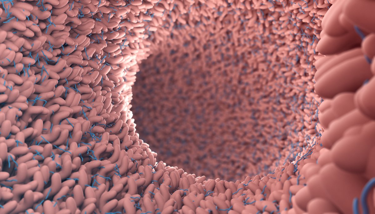 Dstl (@dstlmod) on Twitter photo Have you got the stomach for this exciting #PhD opportunity?
Apply to study the impact of lifestyle and behaviour on the gut microbiome here --> bit.ly/353Xync
Work with our world-class people, <a href="/CardingLab/">Carding_lab</a> <a href="/TheQuadram/">Quadram Institute</a> and <a href="/BritishArmy/">British Army 🇬🇧</a> #bioscience Have you got the stomach for this exciting #PhD opportunity?
Apply to study the impact of lifestyle and behaviour on the gut microbiome here --> bit.ly/353Xync
Work with our world-class people, <a href="/CardingLab/">Carding_lab</a> <a href="/TheQuadram/">Quadram Institute</a> and <a href="/BritishArmy/">British Army 🇬🇧</a> #bioscience