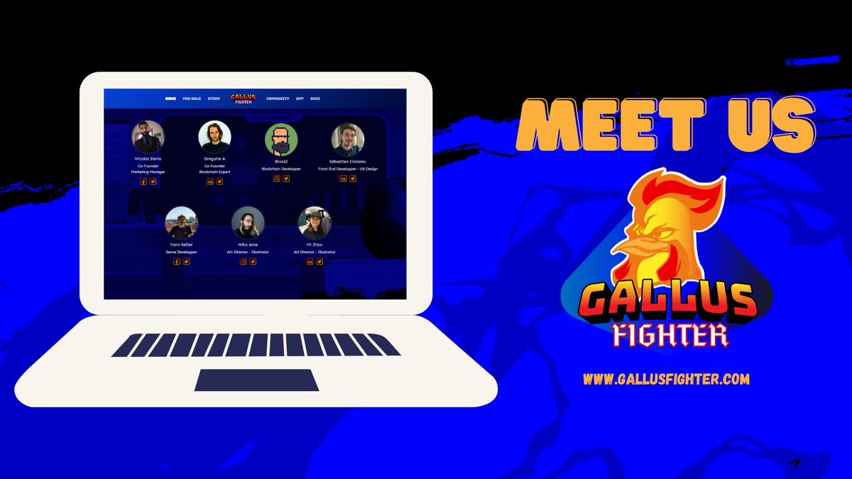 🐓 Gallus Fighter tweet media