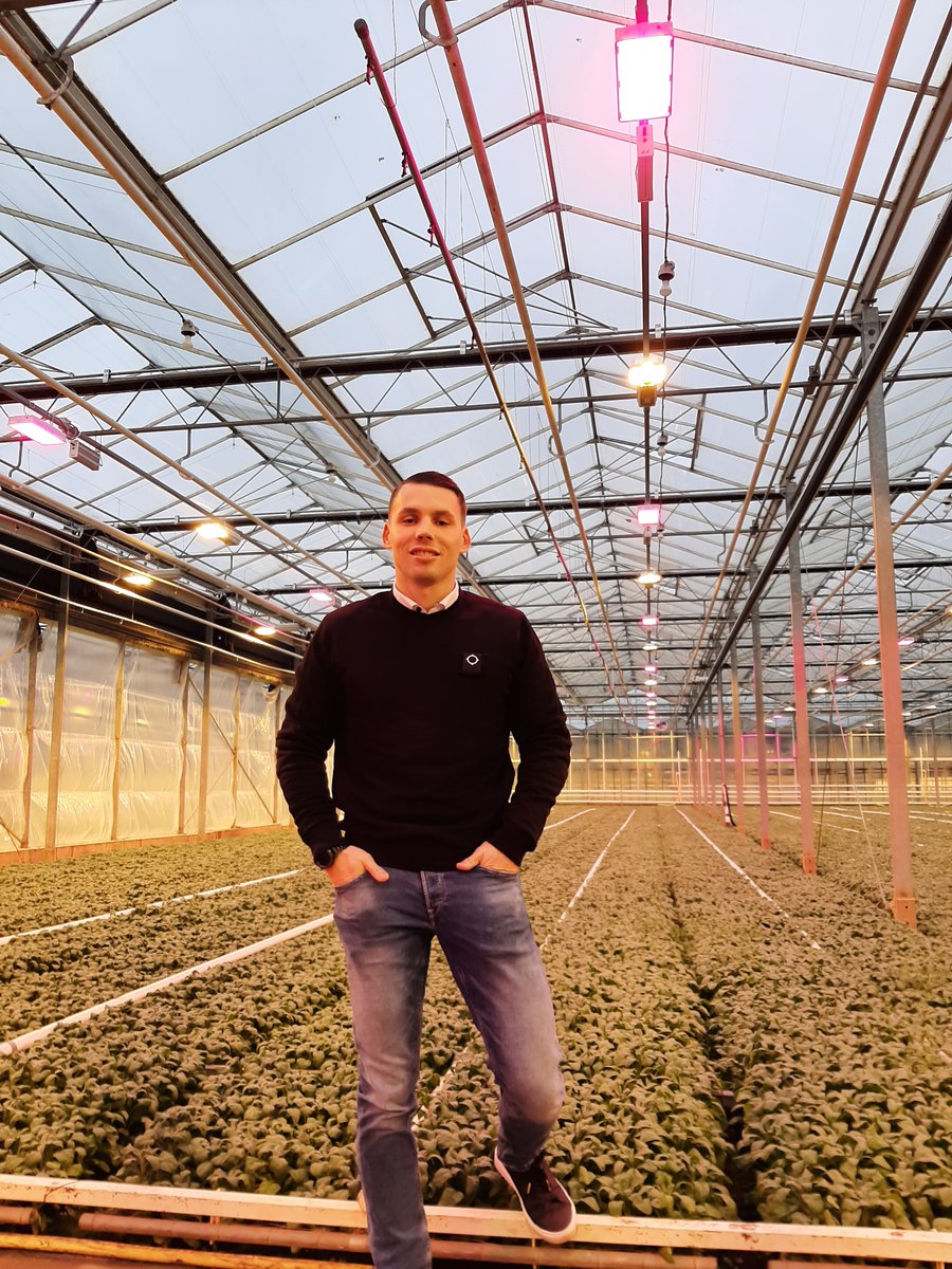 Read the interview with Mitchel Visser and find out how you can save energy or make the transition to growing with LED faster. Fill in the contact form on the bottom of the page to receive more information or get into contact with your Area Sales Manager. hortilux.com/article/small-…