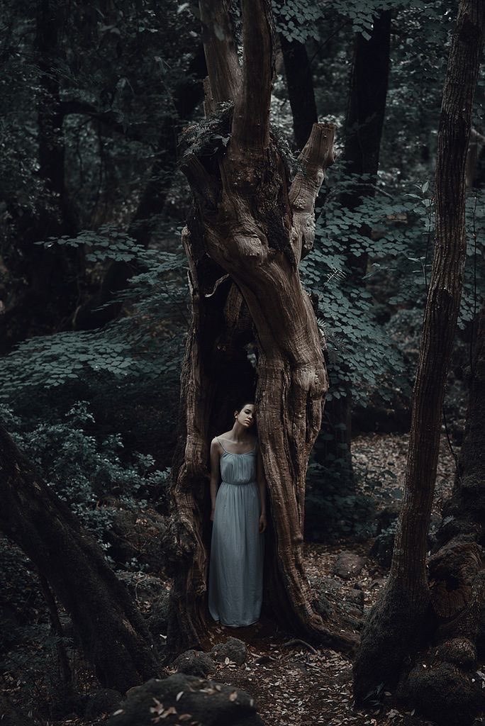 LadyLeo1976's tweet photo. #StandForTrees 💚 https://t.co/LNLKBWzrQq