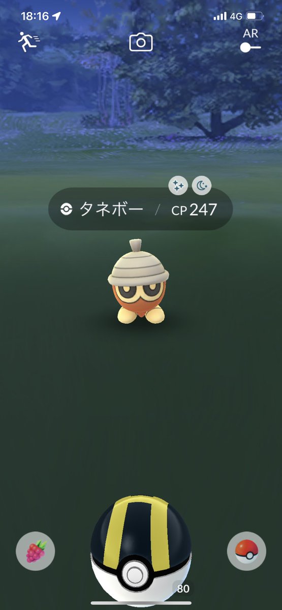 ポケモンgo タネボーの色違い 入手方法と実装状況 攻略大百科 ポケモンgo タネボーの色違い 入手方法と実装状況 攻略大百科