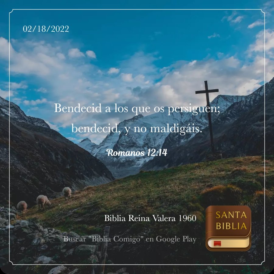 RamirezSiano's tweet photo. Gracia al todos poderoso Nuestro Dios por este Nuevo dias. 🙏🙏🙏🙏🙏🙏
#DiosEsBuenos #Azua #DiosTenMisericordia 👇👇👇👇 palabra del dias
"Bendigo a los que os persiguen, bendecid y no maldigaais" @RuffinoMorales @faumontes @wallynet3 @INDIRALABELLA Buenos dias a todos https://t.co/HMMJc22eye